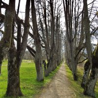 весенние зарисовки :: ИННА ПОРОХОВА