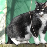 весенние зарисовки :: ИННА ПОРОХОВА