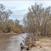 Однажды в мае... :: Aquarius - Сергей