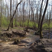 Апрель, который радовал нечасто :: Андрей Лукьянов