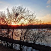 Зари торжественные звуки! :: Елена Хайдукова  ( Elena Fly )