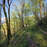 ПРОГУЛКА :: Tata Wolf