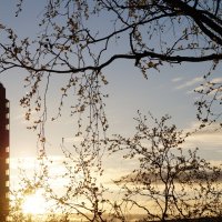 Продолжаем наблюдать за небом :: Anna-Sabina Anna-Sabina