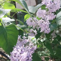 Almaty. :: Murat Bukaev 