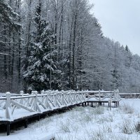 После снегопада. :: Татьяна 