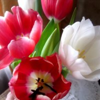 Весенний букет :: Елена Семигина