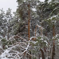 Пейзаж весны со снегом :: Александр Синдерёв
