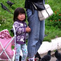 Обида. :: Михаил К