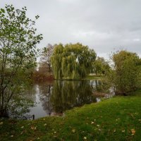 И это ноябрь... :: Николай Гирш