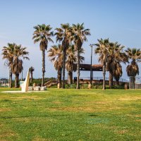 Беседка. :: Argaman Табашник