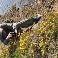 Приметы весны :: Галина 