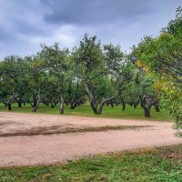 Коломенское :: Irene Irene