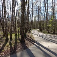 Приметы апреля. Главная примета - прозрачность леса (парка) :: Андрей Лукьянов