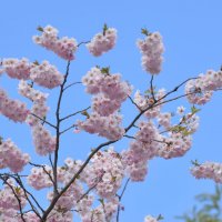 лейпциг2026 :: Алексей Короткевич