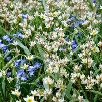 Москва. Весна в парке "Зарядье". :: Наташа *****