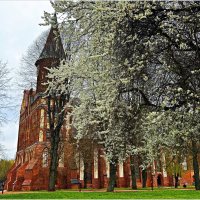 У Кафедрального собора. :: Валерия Комова