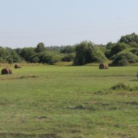 СЕНОКОСНАЯ ПОРА.... :: Валентина 