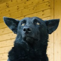 Бдительная охрана! :: Любовь 