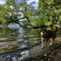 На водных процедурах). :: Любовь 