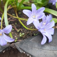 ,,, :: Сергей Тимоновский