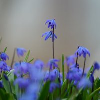 Над остальными :: Иван Литвинов