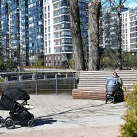 Солнечный апрель :: Юрий Велицкий