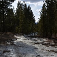 *** :: Наталья Покацкая