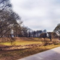 Муринский парк. СПб. :: Лилия *