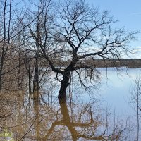 Большая вода :: Татьяна 