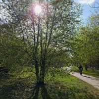 Мои всё ещё апрельские тезисы :: Андрей Лукьянов