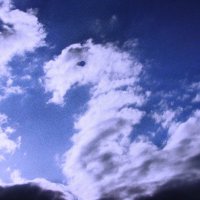 Летящее чудо :: Людмила Смородинская