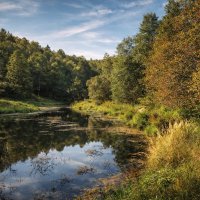 Ярославская облась / Река Нерль :: Денис Бочкарёв