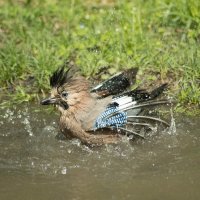 Освежилась :: Павел 