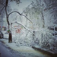 27 апреля 2026.. :: Алексей Архипов