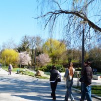 Прогулки по  набережной :: Валентин Семчишин