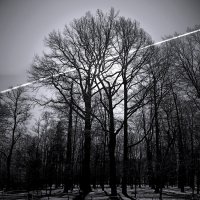 *** :: Сергей Григорьев