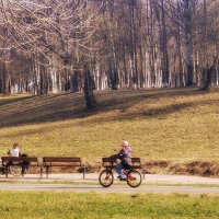 Велодорожки в парке не пустуют! :: Лилия *