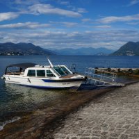 ~~~~~ :: Алёна Савина