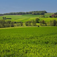 Весенние поля. :: Lucy Schneider 