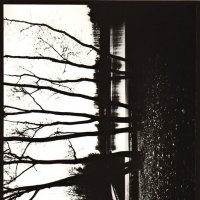 ФОТОГРАФИКА Парк - 1 :: Алексей Кузнецов