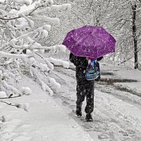 А скоро май! :: Вячеслав Минаев