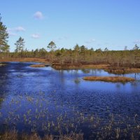 И мягкой дымкою синеет.. :: Татьян@ Ивановна