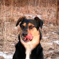 Динка :: Надежда 