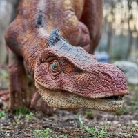 Дино Парк :: Александр Леонов