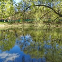 Весна в Лефортово :: svk *