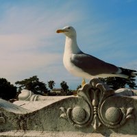 Вечный город(серия) :: Владимир Манкер