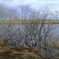 Дыхание весны. :: сергей ермошкин