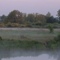 Туман над рекой (серия) :: Любовь Сахарова