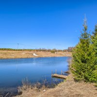 Солнечный день :: Анастасия Логинова