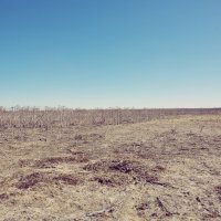 прочее :: Денис Безногов